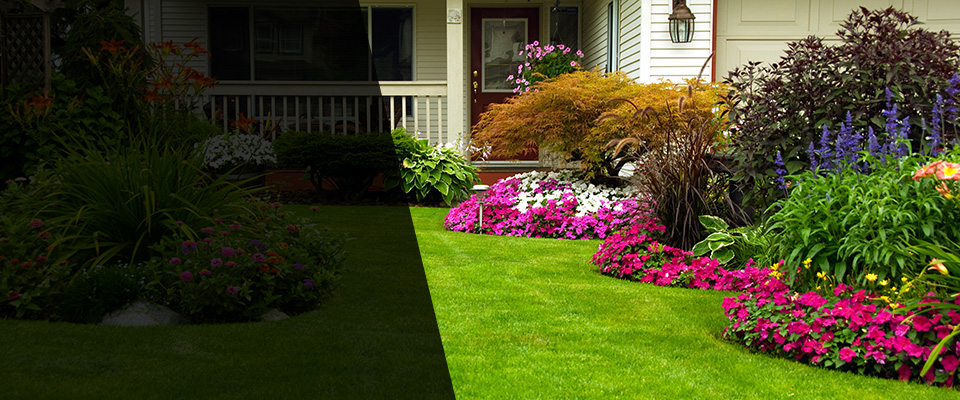 Mingo Junction Landscapers