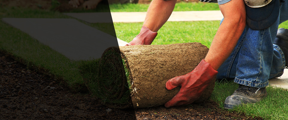 Mingo Junction Landscapers